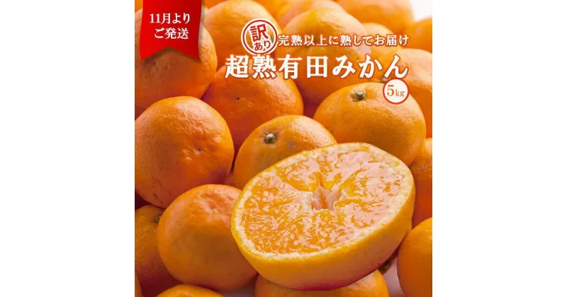 【ふるさと納税】＜11月より発送＞家庭用 超熟有田みかん5kg+150g（傷み補償分）訳あり | フルーツ 果物 くだもの 食品 人気 おすすめ 送料無料 わけあり 光センサー選果