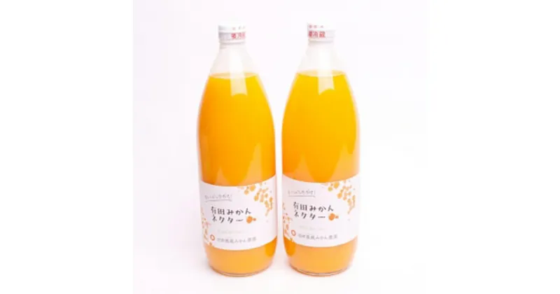 【ふるさと納税】とろり みかんネクター1000ml×2本 無添加100%ストレートジュース | フルーツ 果物 くだもの 食品 人気 おすすめ 送料無料