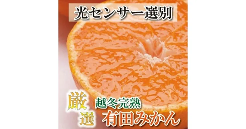 【ふるさと納税】＜1月より発送＞厳選 越冬完熟みかん5kg+150g（傷み補償分）訳あり | フルーツ 果物 くだもの 食品 人気 おすすめ 送料無料 ハウスみかん わけあり 光センサー選果