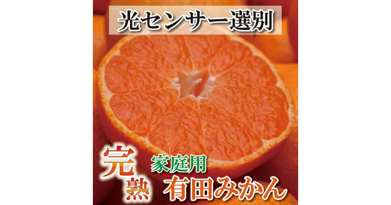 【ふるさと納税】＜11月より発送＞家庭用 完熟有田みかん10kg+300g（傷み補償分）訳あり | フルーツ 果物 くだもの 食品 人気 おすすめ 送料無料 わけあり 光センサー選果