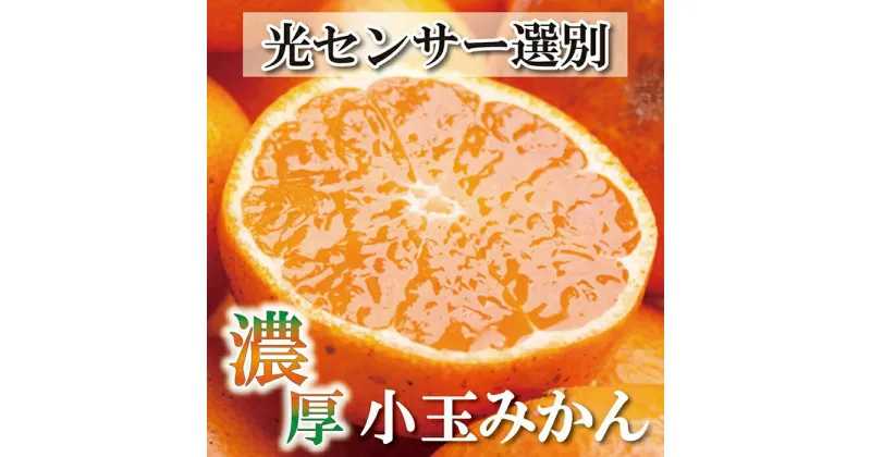 【ふるさと納税】＜11月より発送＞家庭用 小玉な有田みかん4.5kg+135g（傷み補償分）訳あり | フルーツ 果物 くだもの 食品 人気 おすすめ 送料無料 わけあり 光センサー選果