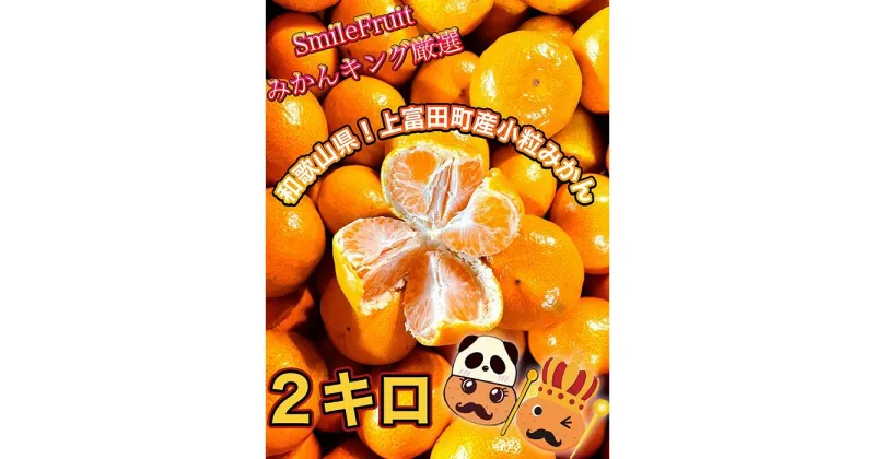 【ふるさと納税】【先行予約】小粒みかん2Kg　高糖度！みかんの里！【SmileFruitみかんキング厳選】2024年10月下旬以降順次発送 | 果物 くだもの フルーツ 旬の果物 旬の味覚 食べ物 食品 柑橘 柑橘類 かんきつ類 みかん ミカン 蜜柑 お取り寄せ 美味しい ご当地 ギフト