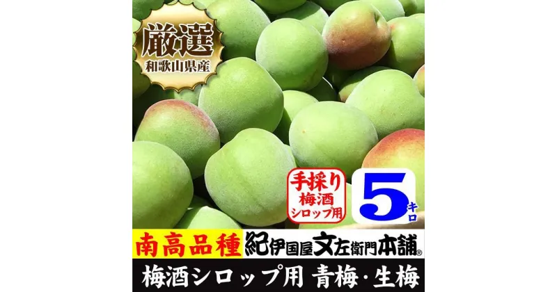 【ふるさと納税】【緑】5kg ■特大サイズ 南高梅 梅酒用 フレッシュ青梅（生梅）／紀伊国屋文左衛門本舗