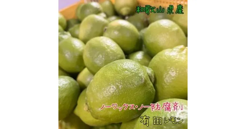 【ふるさと納税】紀州 和歌山 有田 レモン 約3kg【和歌山県産】【農家直送】【先行予約・2024年10月上旬～2025年1月下旬発送】