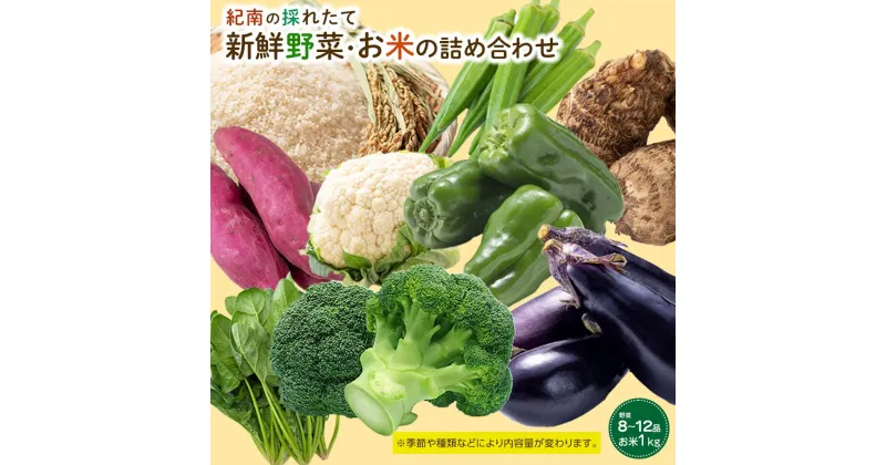 【ふるさと納税】紀南の採れたて新鮮野菜・お米詰め合わせセット（8〜12品目詰め合わせ）