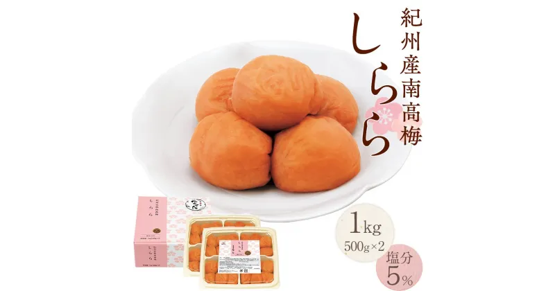 【ふるさと納税】紀州産南高梅 梅干し しらら 1kg　 減塩 梅干 塩分5% 中田食品 | 和歌山 紀州南高梅 南高梅 梅干し 梅干 梅 うす塩 減塩 塩分控えめ ご飯のお供