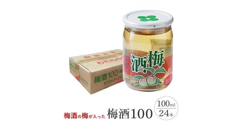 【ふるさと納税】ワンカップ 梅酒100ml（梅酒90ml、梅実10ml） ×24本 | お酒 さけ 人気 おすすめ 送料無料 ギフト