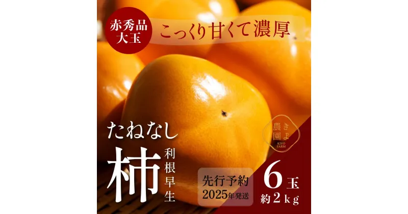 【ふるさと納税】柿(種無し) 6個入 (約2kg) 秀品大玉【2025年9月下旬頃より発送】【KT1】 | 柿 かき フルーツ 果物 くだもの 食品 人気 おすすめ 送料無料