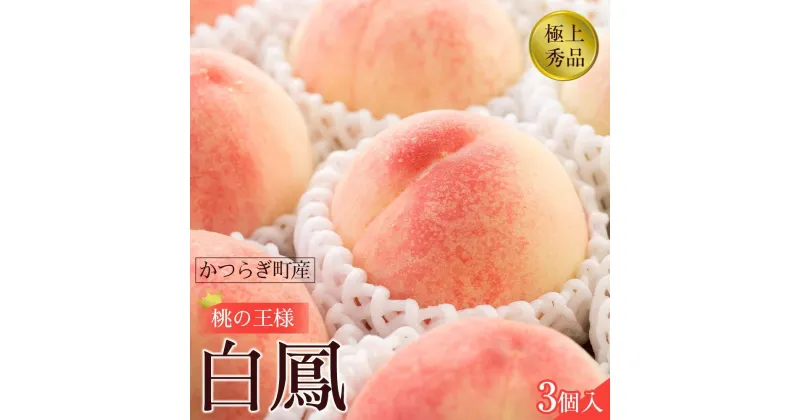 【ふるさと納税】先行販売！【モモ】 白鳳　桃の王様！食べきりやすい3個入り【2025年6月下旬頃より順次発送】【秀品】こだわり農家厳選 【KG17】 | も フルーツ 果物 くだもの 食品 人気 おすすめ 送料無料