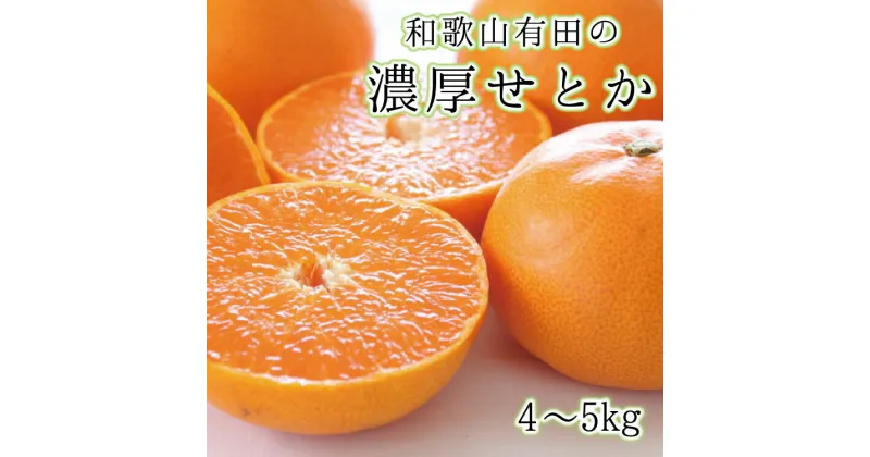 【ふるさと納税】【高級】和歌山有田の濃厚せとか　約4〜5kg　※2025年2月中旬～3月上旬（順次発送予定）