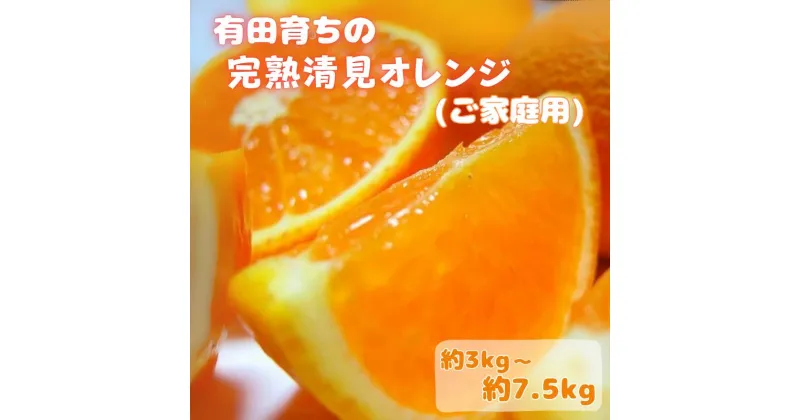 【ふるさと納税】【2025年3月上旬〜発送】有田育ちの完熟清見オレンジ(ご家庭用)　【選べる容量】約3kg～約7.5kg※北海道・沖縄・離島配送不可