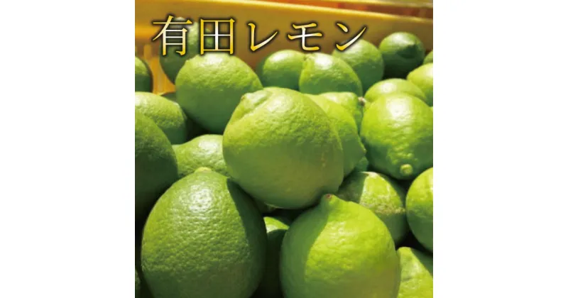 【ふるさと納税】【国産】紀州和歌山　有田レモン 【容量選べる】約1～3kg　※2024年10月上旬頃から順次発送※北海道・沖縄・離島配送不可