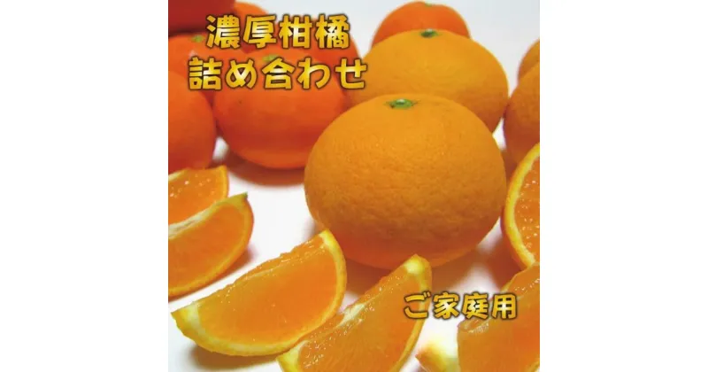 【ふるさと納税】 【先行予約】 有田育ちの濃厚柑橘詰め合わせセット (ご家庭用) 約1.5kg 約2.5kg 【1月中旬～4月下旬頃順次発送】 ※北海道・沖縄・離島配送不可 / みかん 有田みかん ミカン 柑橘 くだもの フルーツ 果物 詰め合わせ オレンジ 家庭用