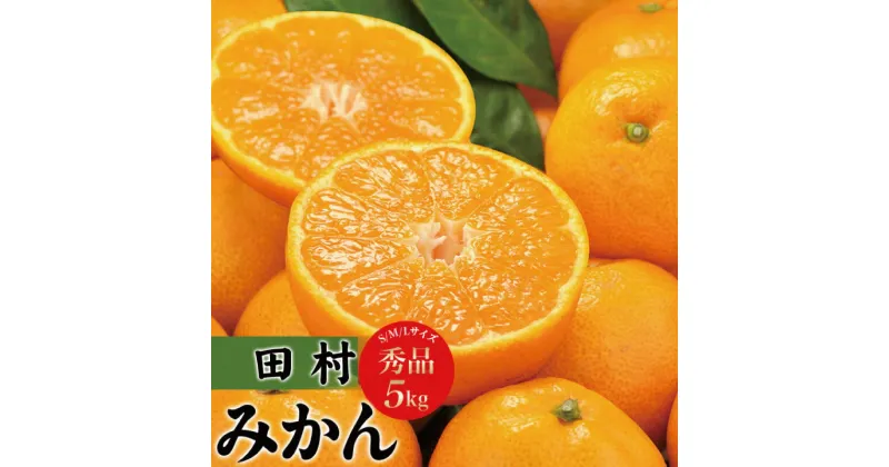 【ふるさと納税】田村みかん　秀品5キロ　サイズおまかせ/紀伊国屋文左衛門本舗　◆2024年11月下旬〜2025年1月中旬頃に発送予定（お届け日指定不可）【予約受付】