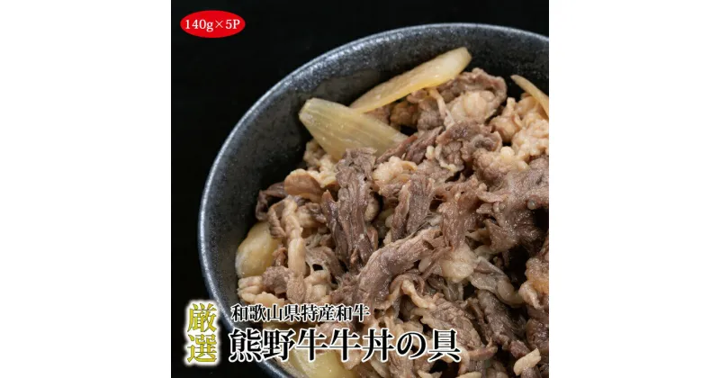 【ふるさと納税】熊野牛牛丼の具 5Pセット