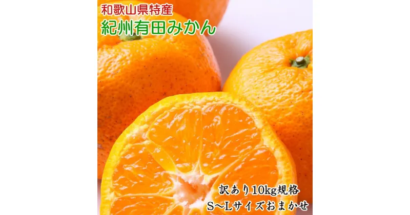 【ふるさと納税】[訳あり規格] 和歌山有田みかん10kg（S〜Lサイズおまかせ）※2024年11月中旬～2025年1月中旬頃に順次発送予定(お届け日指定不可)