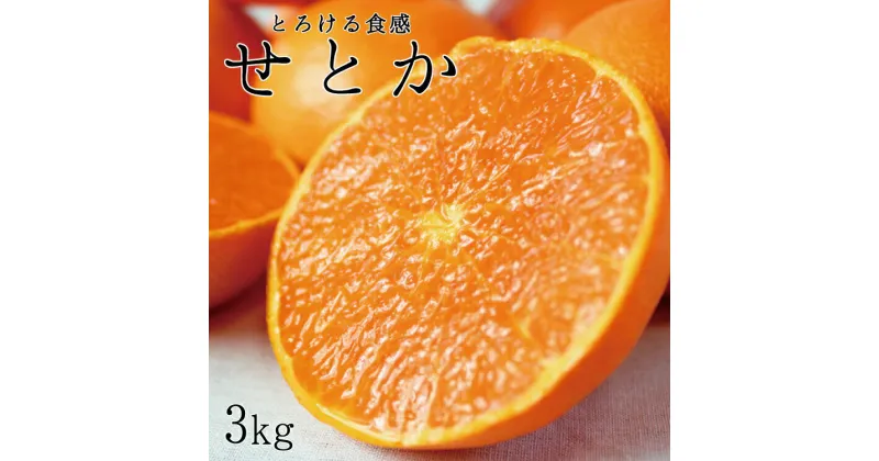 【ふるさと納税】とろける食感！ジューシー柑橘　せとか　約3kg※2025年2月末頃～2025年3月中旬頃発送(お届け日指定不可)