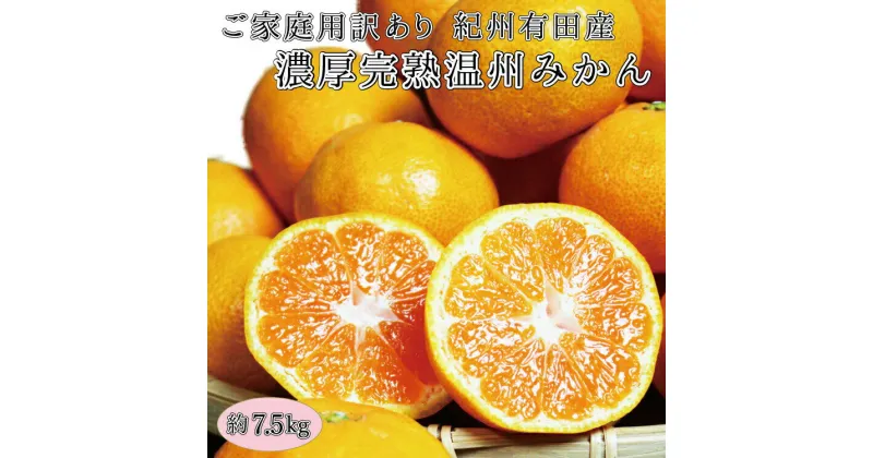 【ふるさと納税】 【ご家庭用訳アリ】紀州有田産濃厚完熟温州みかん　7.5kg　※2024年11月下旬頃～2025年1月下旬頃に順次発送（お届け日指定不可）