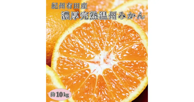 【ふるさと納税】 完熟有田みかん　10kg　※2024年11月下旬頃～2025年1月下旬頃に順次発送(お届け日指定不可)