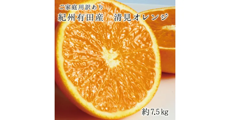 【ふるさと納税】【ご家庭用訳アリ】紀州有田産清見オレンジ　7.5kg ※2025年3月下旬頃〜2025年4月中旬頃に順次発送予定(お届け日指定不可)