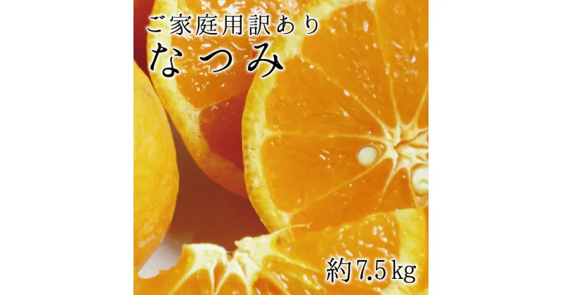 【ふるさと納税】【ご家庭用訳アリ】初夏のみかん なつみ7.5kg　※2025年4月中旬～4月下旬頃に順次発送予定(お届け日指定不可)