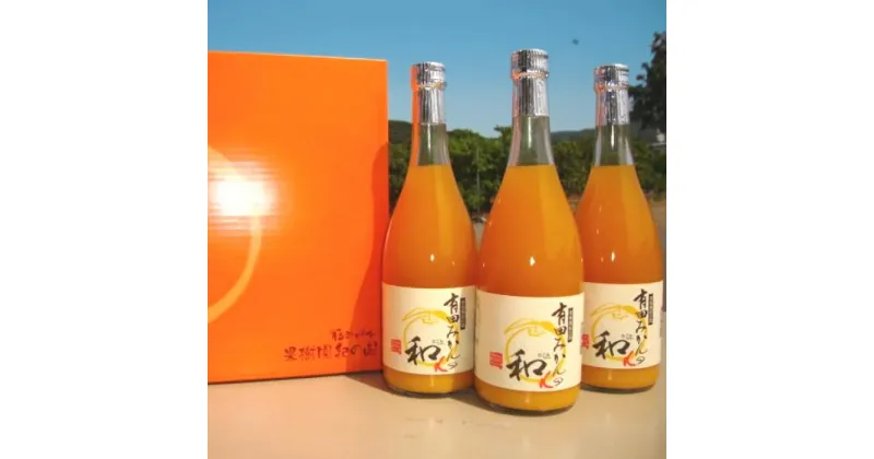 【ふるさと納税】有田みかんの和α（なごみアルファ）720ml×3本