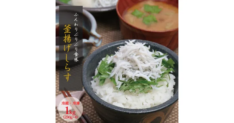 【ふるさと納税】 茹でたて釜揚げしらす 1kg(250g×4パック) 【冷蔵】【冷凍】/ しらす 釜揚げしらす シラス 海 海鮮 珍味 ご飯 新鮮