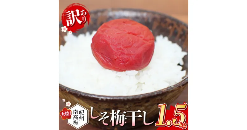 【ふるさと納税】 紀州南高梅 大粒 しそ漬け梅干し 1.5kg 塩分約8% ご家庭用 無選別 訳あり 訳アリ 梅 梅干 梅干し うめ ウメ 南高梅 しそ梅 しそ梅干し しそ梅干 大粒 大容量 たっぷり お得 ご飯のお供 ご家庭用 ご自宅用 人気 健康 すさみ町