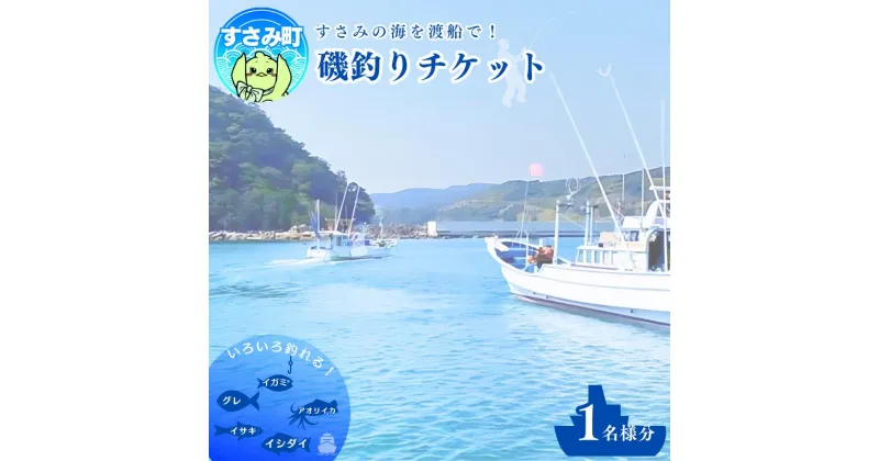 【ふるさと納税】すさみ沖磯渡船チケット（1名様分）