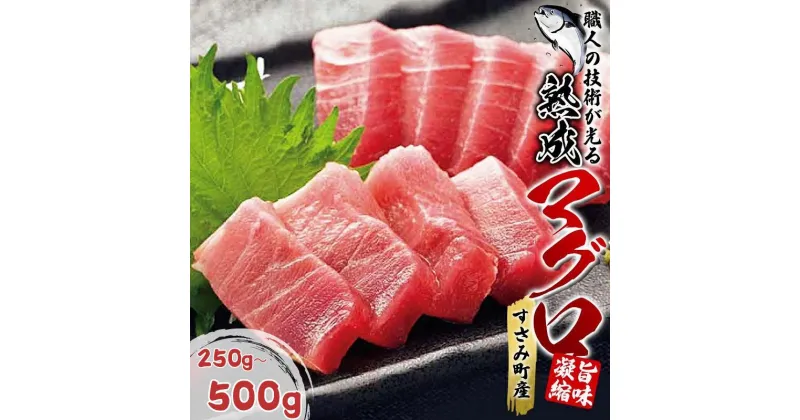 【ふるさと納税】すさみの熟成マグロ 【選べる容量】 約250g 約500g /まぐろ 鮪 刺身 新鮮 鮮度 冷凍 和歌山県 すさみ町