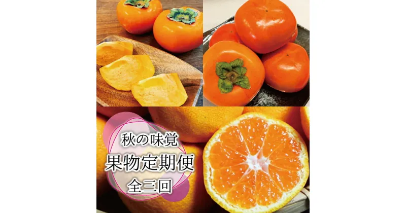 【ふるさと納税】【全3回定期便】秋の味覚 果物定期便　柿・みかん　旬のフルーツを毎月お届け♪ / フルーツ 果物 柿 みかん カキ ミカン 柑橘 フルーツ定期便 果物定期便 定期便 和歌山 有田