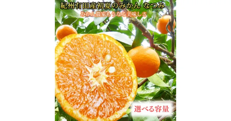 【ふるさと納税】初夏のみかん なつみ 【選べる容量】 3kg 5kg ※2025年4月中旬頃～4月下旬頃順次発送（お届け日指定不可）/ 柑橘 みかん フルーツ 果物 オレンジ 柑橘類 ミカン 人気 果実 和歌山 初夏 ポンカン