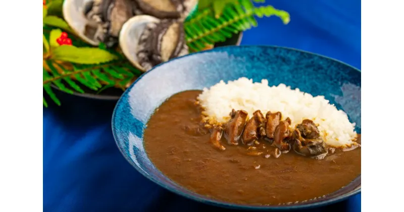 【ふるさと納税】和歌山のアワビ屋さんがつくったあわびカレー 【170g×3袋】＜日付指定OK＞