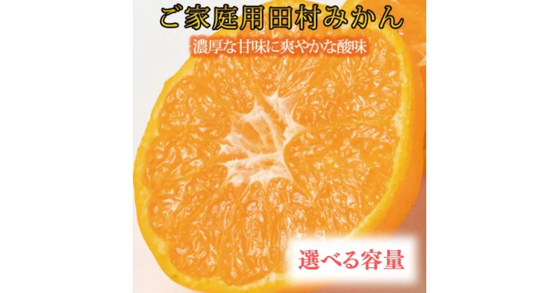 【ふるさと納税】 【ご家庭用訳あり】田村みかん 【選べる容量】 約5kg 約10kg ※2024年11月下旬頃～2025年1月下旬頃に順次発送（お届け日指定不可）/ みかん 有田みかん ブランドみかん 温州みかん 産地直送 柑橘 果物 フルーツ 10000円 20000円 新鮮 旬 先行 訳あり 家庭用