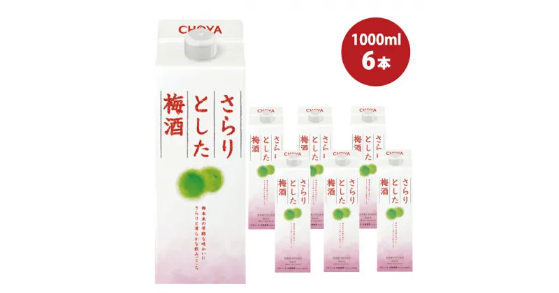 【ふるさと納税】 チョーヤ さらりとした梅酒　1Lパック×6本(1ケース)/梅酒 梅 ウメ お酒 リキュール 酒 紀州 和歌山 CHOYA 国産