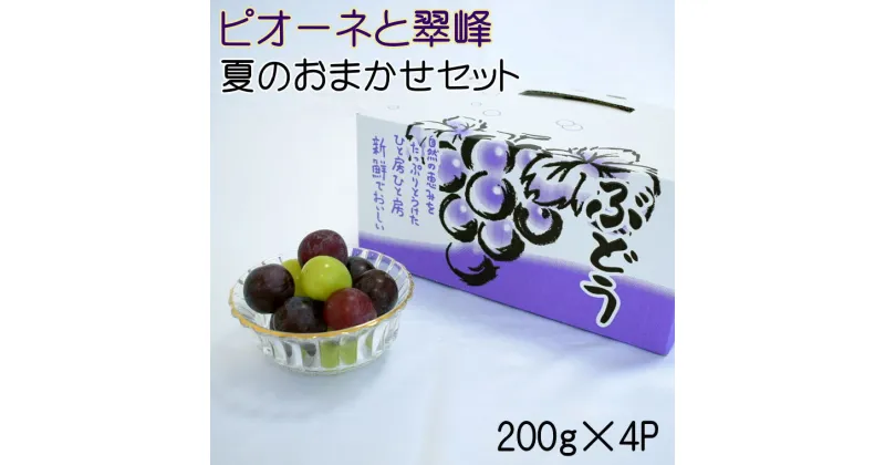 【ふるさと納税】【数量限定】ピオーネと翠峰の夏のおまかせセット約200g×4パック※2025年8月下旬～2025年9月上旬頃順次発送