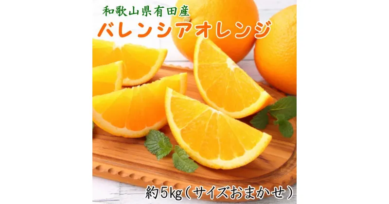 【ふるさと納税】和歌山県有田産バレンシアオレンジ約5kg（サイズおまかせ）※2025年6月下旬～2025年7月上旬ごろ順次発送予定（お届け日指定不可）