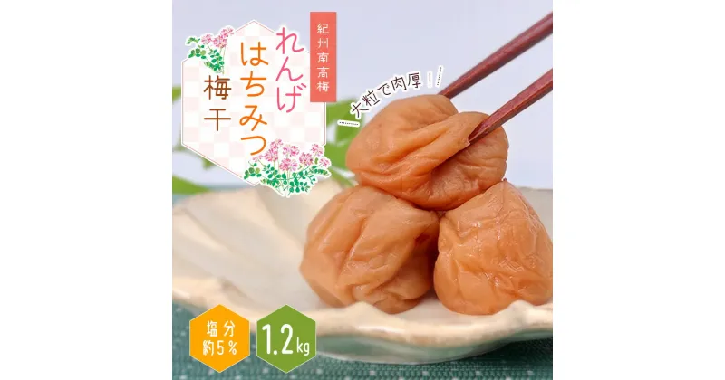 【ふるさと納税】 紀州南高梅 大粒 れんげはちみつ梅干 1.2kg 塩分約5% / 梅 梅干し うめ 南高梅 はちみつ梅 はちみつ梅干 梅ぼし うめぼし 大粒 肉厚 13000円 大容量 たっぷり お得 ご飯のお供 ご家庭用 ご自宅用 贈答 お中元 お歳暮 人気 健康 加工食品 クエン酸