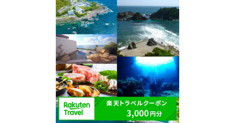 【ふるさと納税】和歌山県すさみ町の対象施設で使える楽天トラベルクーポン 寄付額10,000円 旅行 観光 旅館 ホテル 温泉 クーポン 宿泊クーポン チケット 予約 宿泊 和歌山 すさみ町 関西 近畿