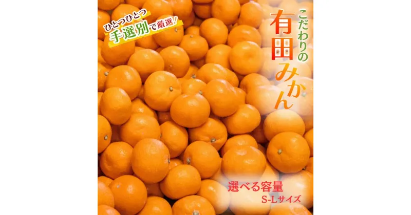 【ふるさと納税】 有田みかん 【先行予約】 こだわりの和歌山県産有田みかん 【選べる容量】 【3kg 5kg】（S～Lサイズ） ひとつひとつ手選別で厳選！生産者から直送 【2024年11月中旬～2025年1月中旬頃順次発送分】 みかん ミカン 蜜柑 柑橘 果物 フルーツ 温州みかん 予約