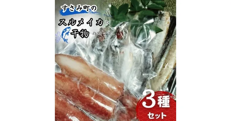 【ふるさと納税】すさみ町のスルメイカと干物のセット（スルメイカ×1匹 、干物×6枚【あじ開き×3 、さんまみりん干し×3 】）/ いか スルメ するめいか アジ 鯵 サンマ 秋刀魚 詰め合わせ