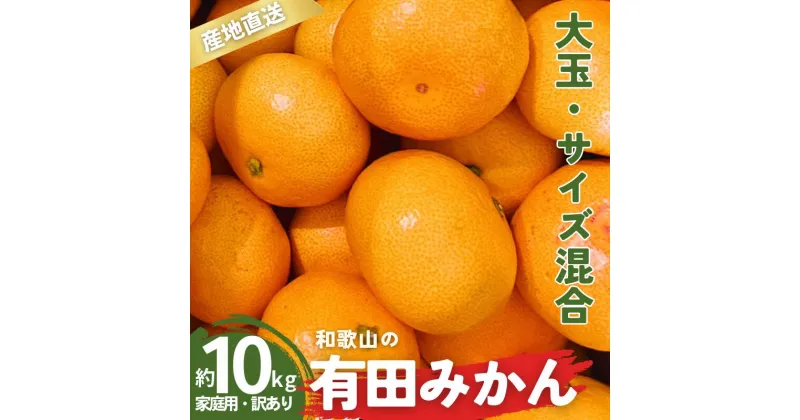 【ふるさと納税】 家庭用 訳あり 有田みかん 和歌山 大玉(2L,3Lサイズ混合) 10kg 【10月上旬～1月下旬頃に順次発送】/ みかん フルーツ 果物 くだもの 蜜柑 柑橘 和歌山 ミカン