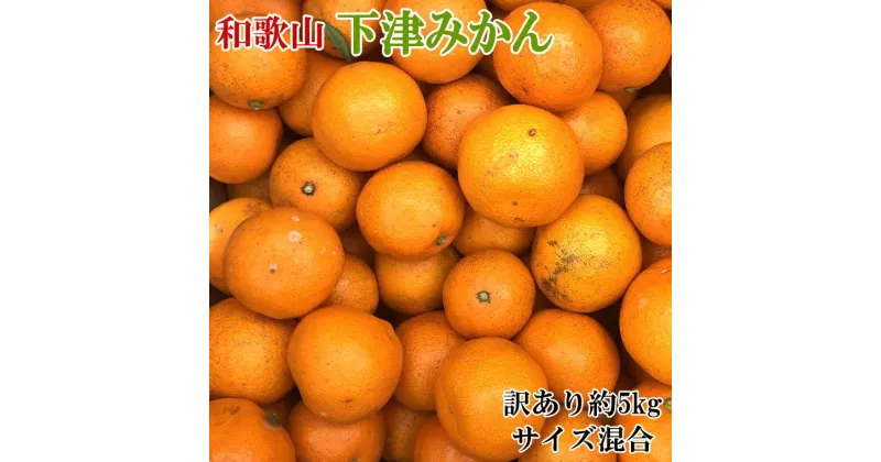 【ふるさと納税】【訳あり】和歌山下津みかん約5kgご家庭用向け(サイズ混合)　※2024年11月中旬～1月中旬頃順次発送予定（お届け日指定不可