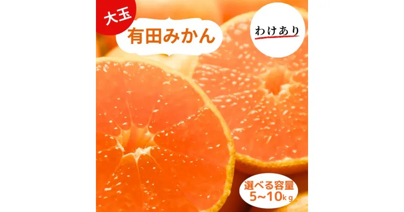 【ふるさと納税】和歌山県産 有田みかん 大玉 2L～3L 訳あり 選べる容量5kg～10kg※2024年10月下旬～2025年1月中旬頃に順次発送予定（お届け日指定不可)