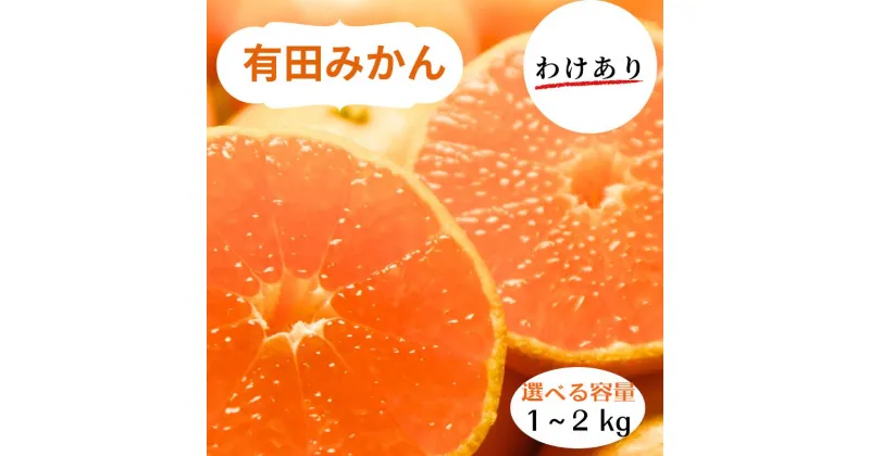 【ふるさと納税】和歌山県産 有田みかん 訳あり 選べる容量 ※2024年10月下旬～2025年1月中旬頃に順次発送予定（お届け日指定不可)