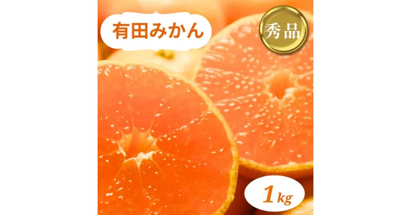 【ふるさと納税】和歌山県産 有田みかん 1kg 秀品 ※2024年10月下旬～2025年1月中旬頃に順次発送予定（お届け日指定不可)