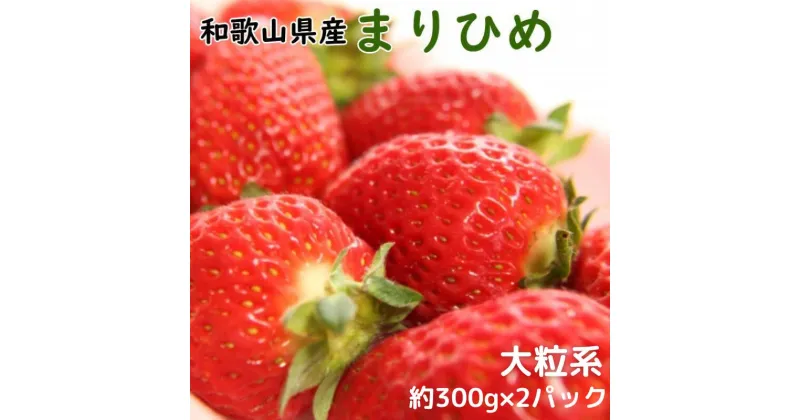 【ふるさと納税】 いちご 和歌山県産ブランドいちご「まりひめ」大粒系約300g×2パック入り ※2024年12月中旬～2025年2月下旬頃順次発送（お届け日指定不可）/イチゴ 苺 フルーツ 紀州 和歌山