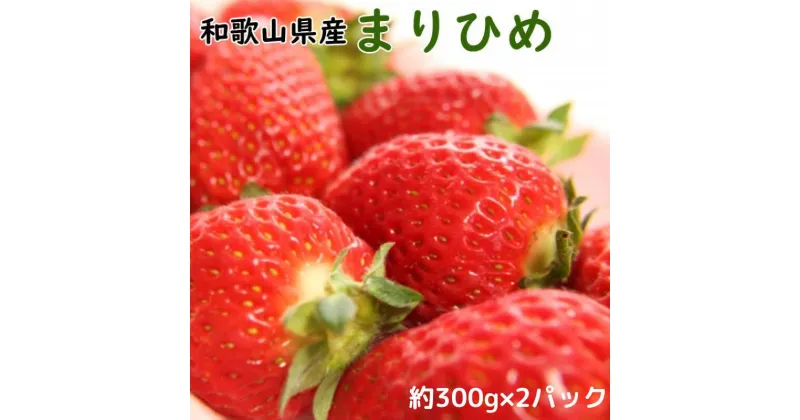 【ふるさと納税】 いちご 和歌山県産ブランドいちご「まりひめ」約300g×2パック入り ※2025年1月中旬～2025年2月下旬頃順次発送（お届け日指定不可）/イチゴ 苺 フルーツ 紀州 和歌山