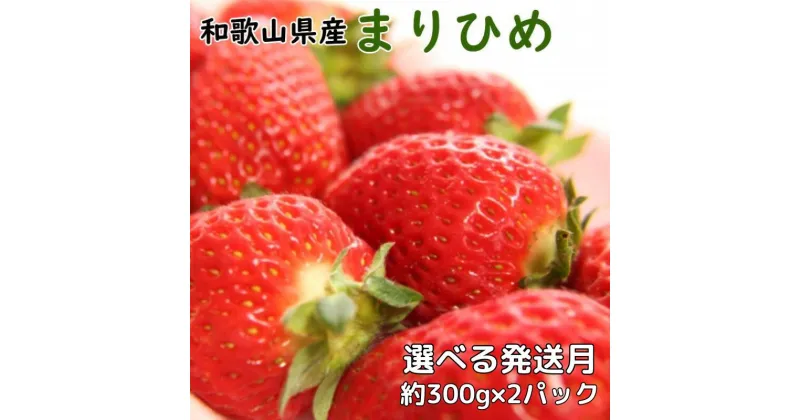 【ふるさと納税】 いちご 和歌山県産ブランドいちご「まりひめ」約300g×2パック入り 【選べる発送月】 【3月～5月】（お届け日指定不可）/イチゴ 苺 フルーツ 紀州 和歌山