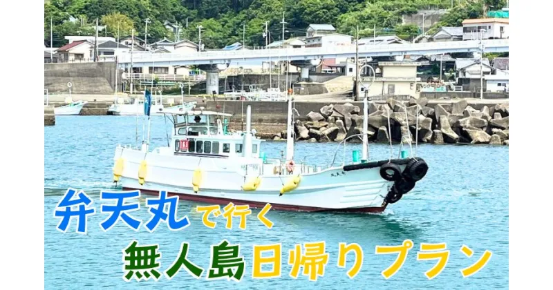 【ふるさと納税】 無人島 アクティブ系 親子で・カップルで楽しむすさみ【無人島日帰り】＜お弁当付きプラン＞